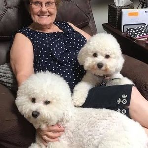 Meet your Posher, Sylvia